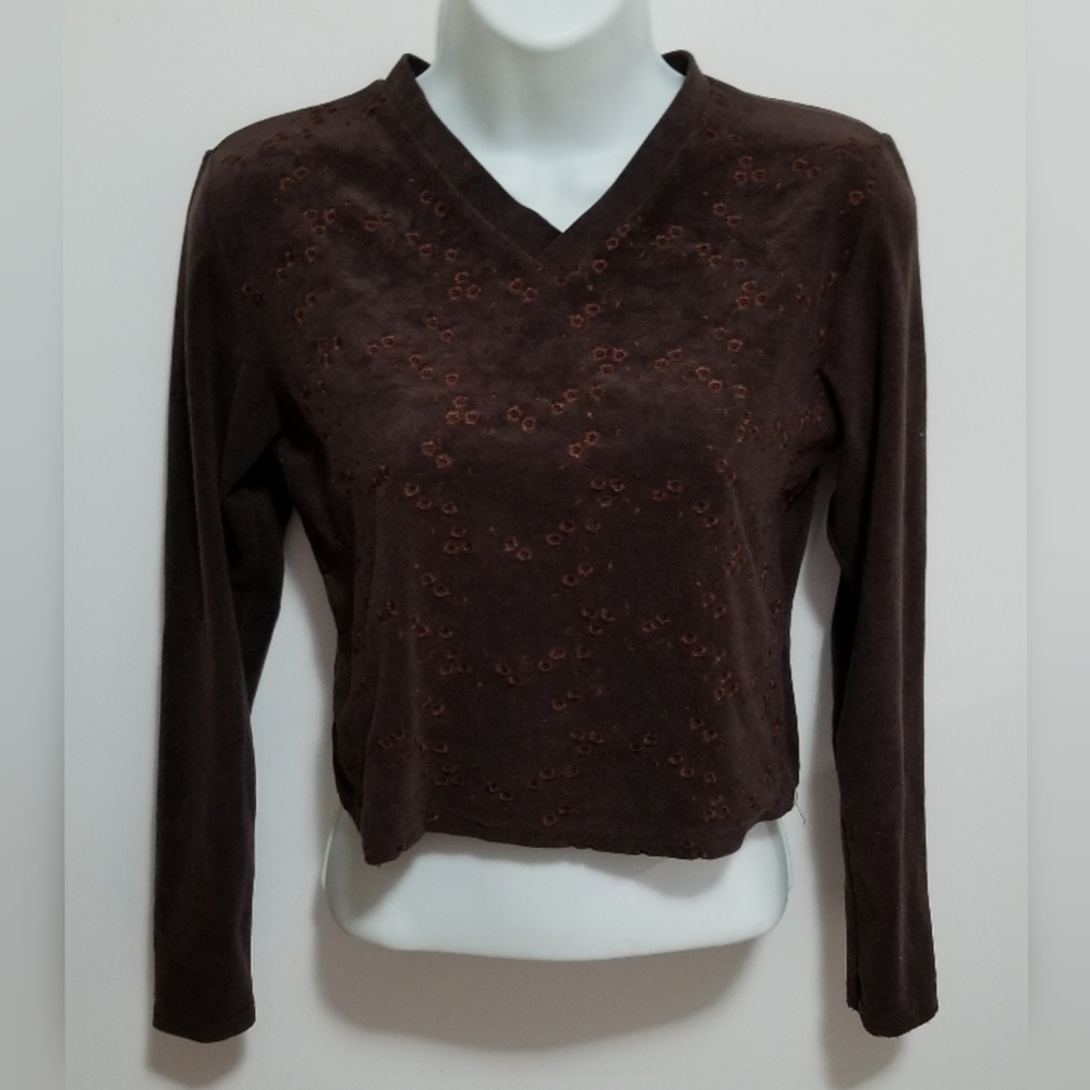 Sud Express brown v-neck long sleeve crop top